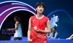 开云体育在线-韩国队横扫中国队，陈雨菲刷新纪录