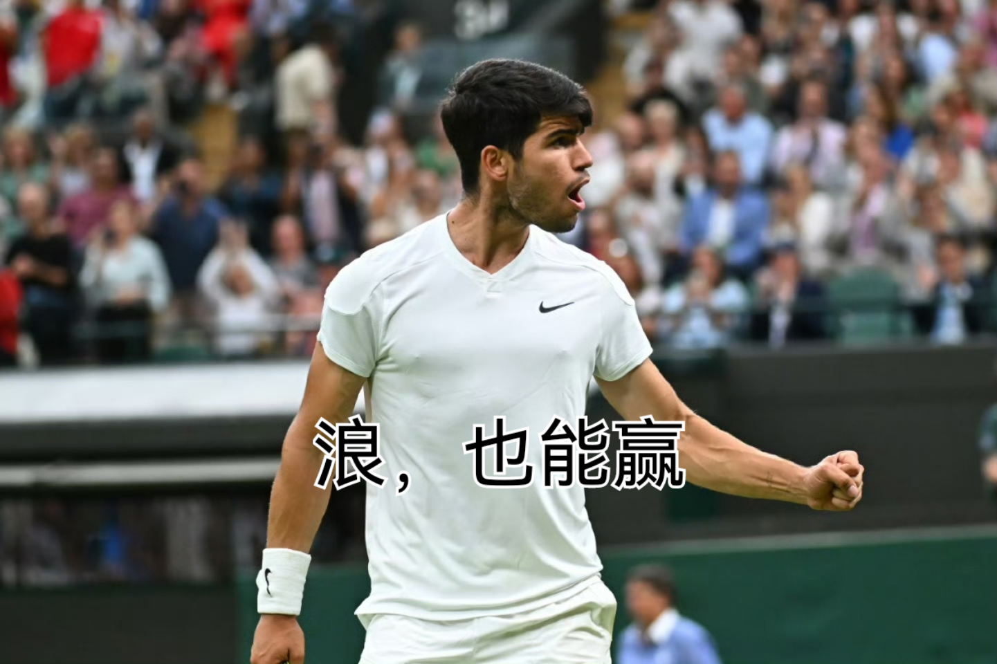 包含温网逆转戴维斯杯，阿尔卡拉斯扛起全队的词条