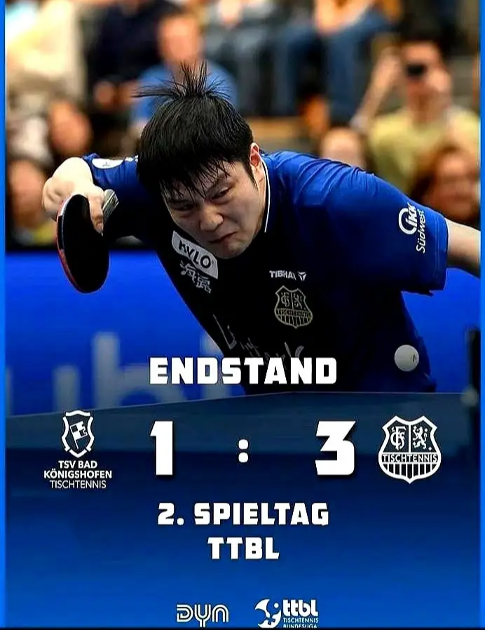 关于波兰乒乓球队完胜德国乒乓球队，樊振东打破历史纪录的信息