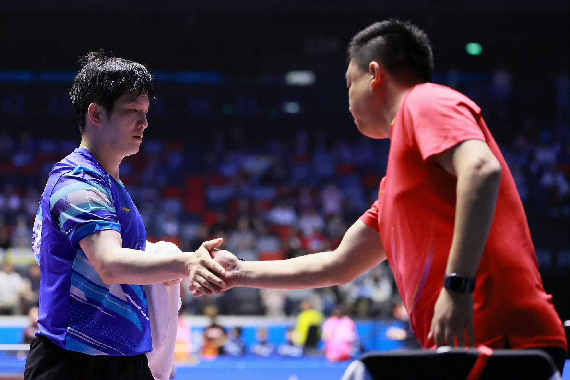 包含瑞典乒乓球队逆转比利时乒乓球队,樊振东爆发神勇的词条 包含瑞典乒乓球队逆转比利时乒乓球队,樊振东爆发神勇的词条